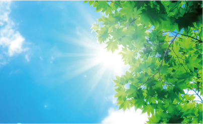 遮熱・省エネフィルム